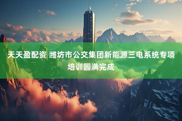 天天盈配资 潍坊市公交集团新能源三电系统专项培训圆满完成