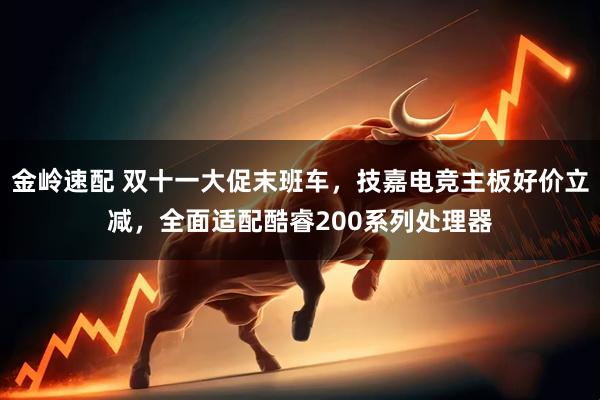 金岭速配 双十一大促末班车，技嘉电竞主板好价立减，全面适配酷睿200系列处理器