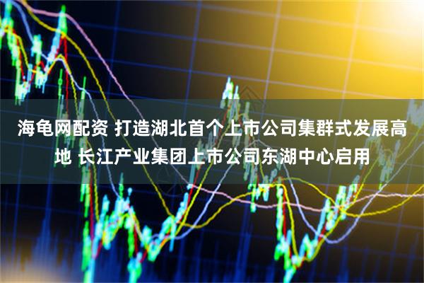 海龟网配资 打造湖北首个上市公司集群式发展高地 长江产业集团上市公司东湖中心启用