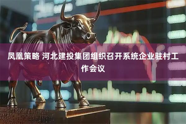 凤凰策略 河北建投集团组织召开系统企业驻村工作会议