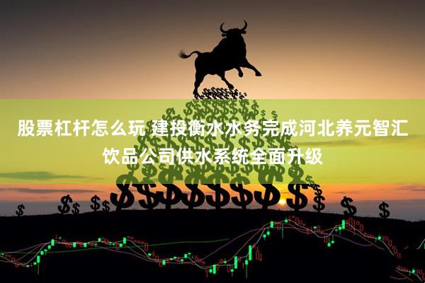 股票杠杆怎么玩 建投衡水水务完成河北养元智汇饮品公司供水系统全面升级