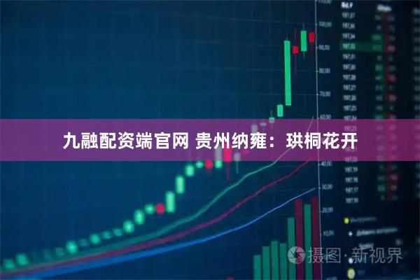 九融配资端官网 贵州纳雍：珙桐花开