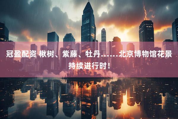 冠盈配资 楸树、紫藤、牡丹……北京博物馆花景持续进行时！