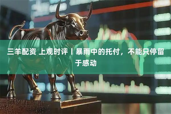 三羊配资 上观时评丨暴雨中的托付，不能只停留于感动