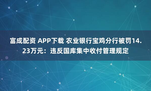 富成配资 APP下载 农业银行宝鸡分行被罚14.23万元：违反国库集中收付管理规定